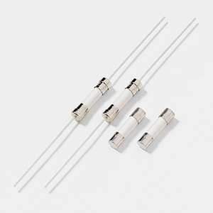 Littelfuse® 216.063P