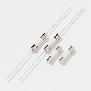 Littelfuse® 21602.5P