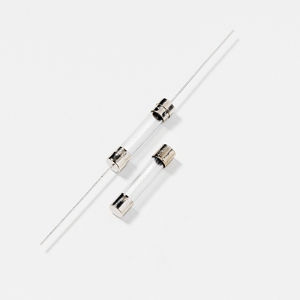 Littelfuse® 312.062P