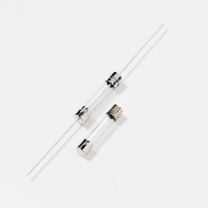 Littelfuse® 313.031P