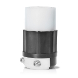 Leviton 2433