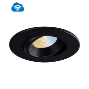 Liteline RA4-12RG-WZ-90BK
