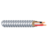 Southwire® AC90/BX-10/2-75