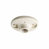 Leviton 49875
