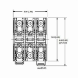 Littelfuse® L60030M-3CDIN