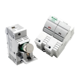 Littelfuse® LFPSJ30-1