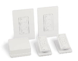 Lutron® P-BDG-PKG2W-C