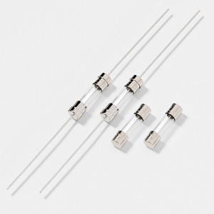 Littelfuse® 218004P
