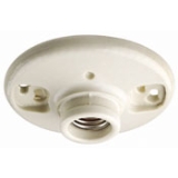 Leviton 49875