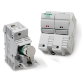 Littelfuse® LFPSJ30-1
